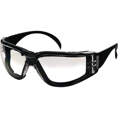 CeeTec DX Safety Glasses, Clear Lens, Anti-Fog/Anti-Scratch, Meets/Exceeds CSA Z94.3 Mukwa Safety Services