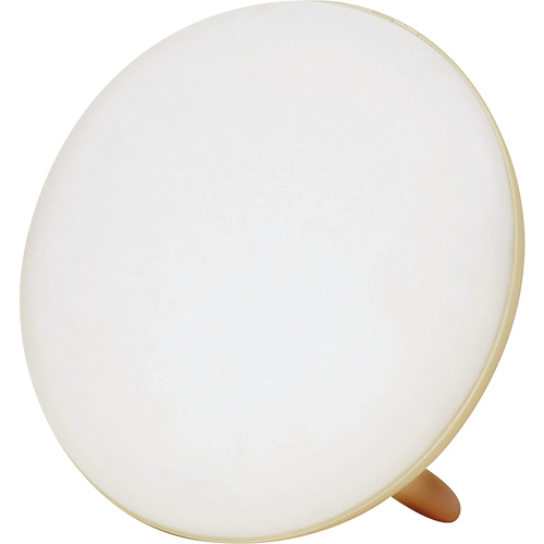 Jumbo Therapy Light for Seasonal Affective Disorder Mukwa Safety Services
