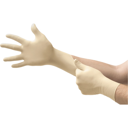 Diamond Grip Examination Gloves, Large, Latex, 8-mil, Powder-Free, Natural, Class 2 Mukwa Safety Services