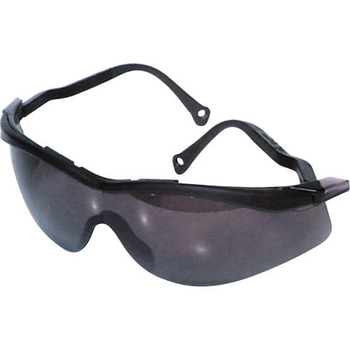 Lunettes de s&eacute;curit&eacute; North The Edge, Lentille Fum&eacute;e, Antibu&eacute;e/Anti-&eacute;gratignures, R&eacute;pond ou surpasse la norme CSA Z94.3 Mukwa Safety Services
