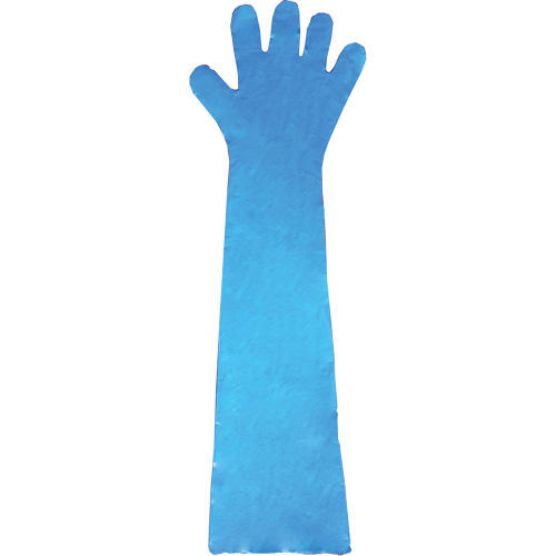 Disposable Gloves, Polyethylene, Powder-Free, Blue Mukwa Safety Services