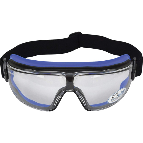 LPX IQuity Safety Goggles, Clear Lens, Anti-Fog/Anti-Scratch Mukwa Safety Services