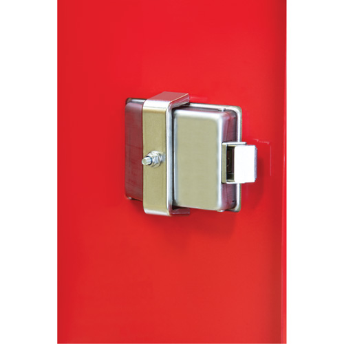 Armoires ext&eacute;rieures robustes pour extincteurs, 14" la x 28" h x 10" p Mukwa Safety Services