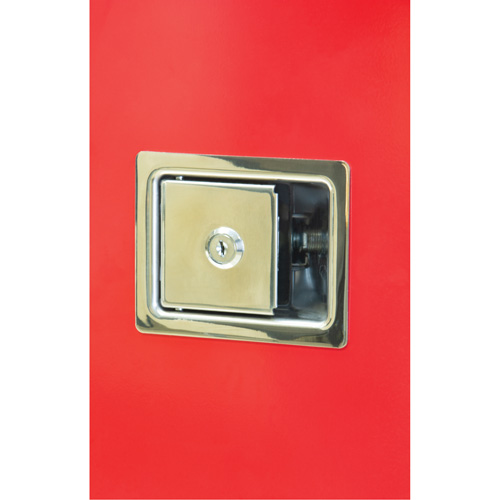Armoires ext&eacute;rieures robustes pour extincteurs, 14" la x 28" h x 10" p Mukwa Safety Services