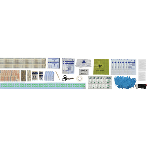 Shield First Aid Kit, Meets/Exceeds CSA Z1220-24 Type 2 Low-Risk Environment, Medium (26-50 Workers) Mukwa Safety Services