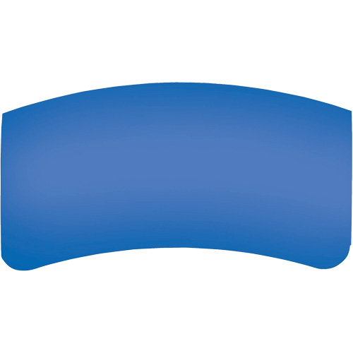 Bullard GenVX PETG Outer Lens Mukwa Safety Services