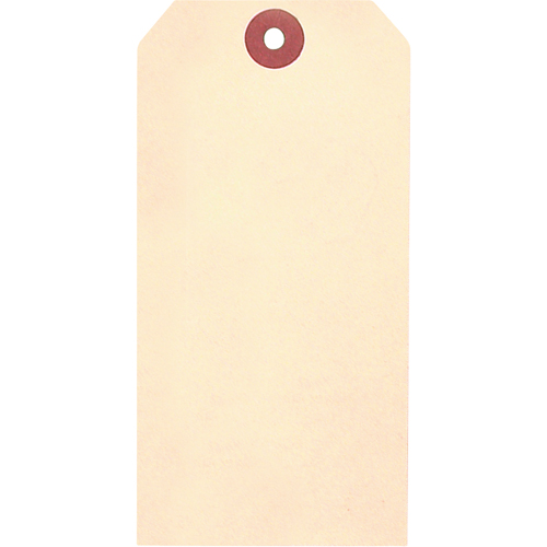 Manila Blank Tags, Cardstock, 1-7/8" W x 3-3/4" H Mukwa Safety Services