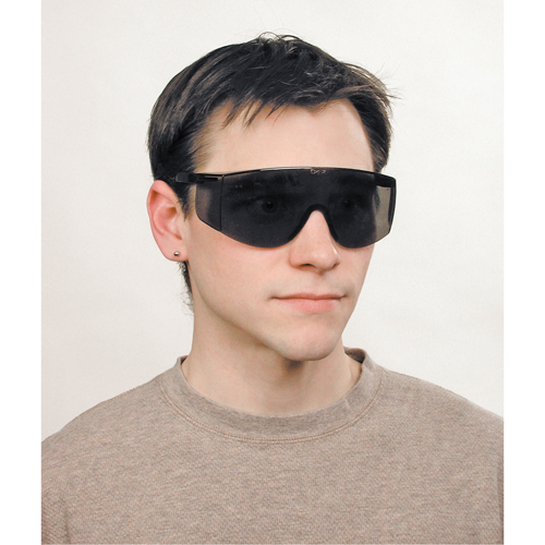 Lunettes de s&eacute;curit&eacute; Tacoma, Lentille Grise/fum&eacute;e, Anti-&eacute;gratignures, ANSI Z87+ Mukwa Safety Services