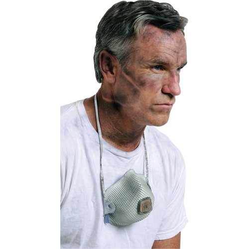 2700 Particulate Respirators, N95, NIOSH Certified, Large/Medium Mukwa Safety Services
