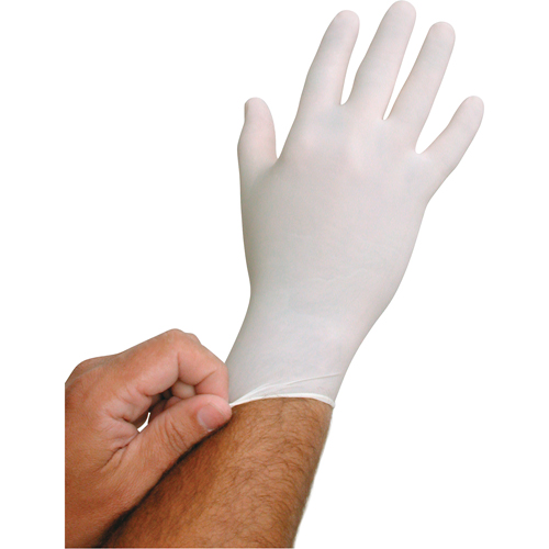 QRP BioTek&reg; Disposable Gloves, Large, Latex, 6-mil, Powder-Free, White Mukwa Safety Services