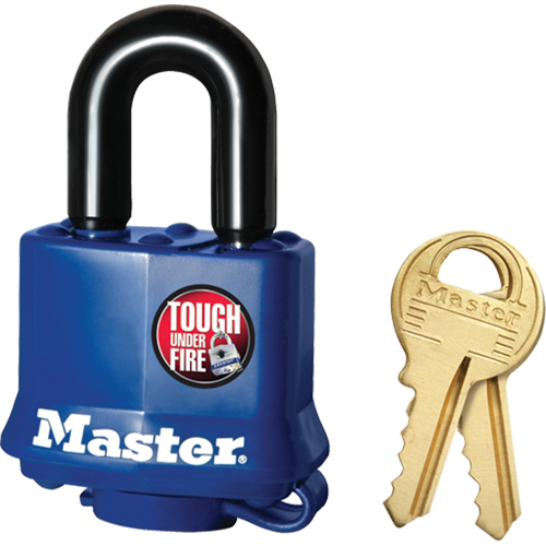 Cadenas r&eacute;sistant aux intemp&eacute;ries, Cl&eacute;s diff&eacute;rentes, Acier lamin&eacute;, Largeur de 1-9/16" Mukwa Safety Services