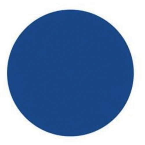 Round Write-On Labels, Circle, 3" L x 3" W, Blue Mukwa Safety Services