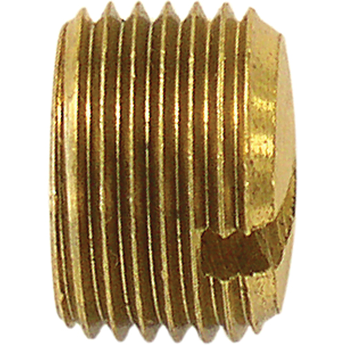 Pipe Plug (Slotted), 1/8" Dia., Brass Mukwa Safety Services