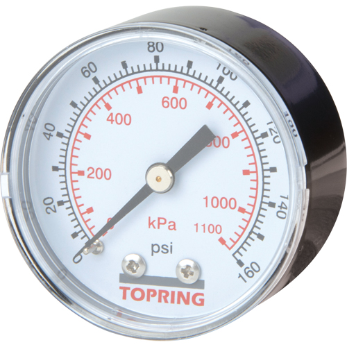 Mini Regulators - Replacement Gauge, 2" , 0 - 160 psi, Back Mount, Analogue Mukwa Safety Services