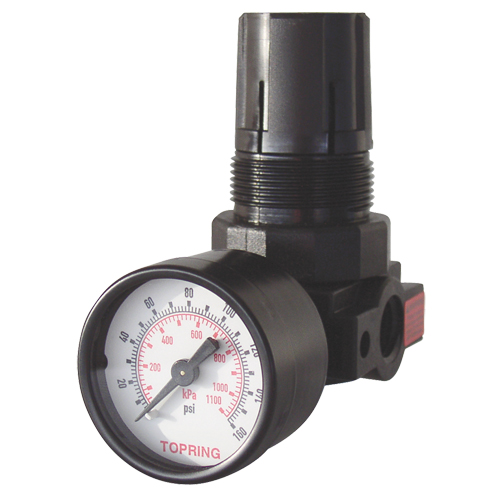 Mini Regulators, 1/4" NPT, 165 PSI Max. PSI, Modular Mukwa Safety Services
