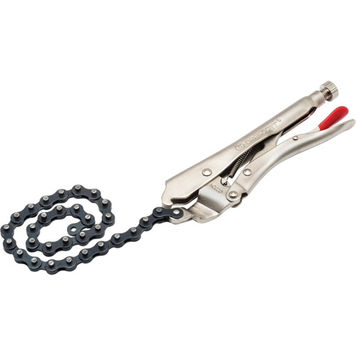 Locking Chain Clamp with Chain Mukwa Safety Services