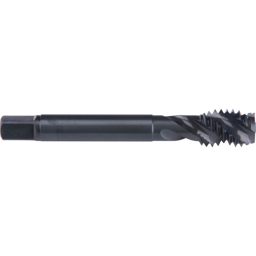 45° Spiral Flute Tap, High Speed Cobalt, 10-32 Thread, 2-3/8" L Mukwa Safety Services