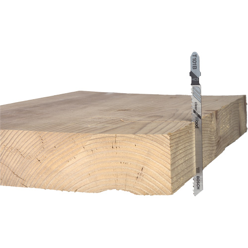 Lame de scie alternative pour la coupe du bois, Acier &agrave; haute teneur en carbone, Tige en T, 4" lo, 10 dents par pouce Mukwa Safety Services