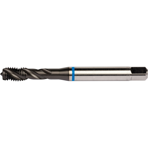Blue Shark Spiral Flute Tap, High Speed Cobalt, 1/4"-28 Thread, 3.15" L Mukwa Safety Services