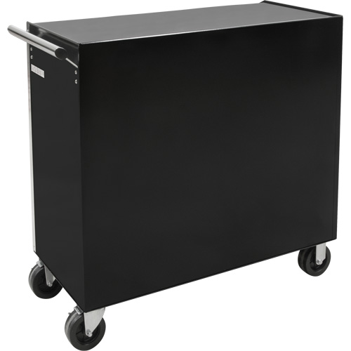 Chariot &agrave; outils industriel, 11 tiroirs, 41" la x 18-3/4" p x 39-1/3" h, Noir Mukwa Safety Services