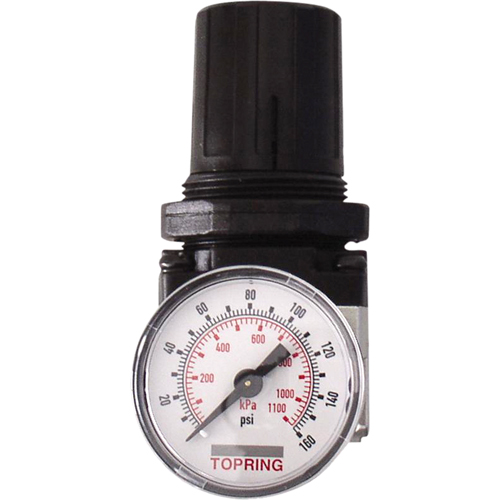 R&eacute;gulateurs, 1" NPTF, PSI max. de 150 psi, Modulaire Mukwa Safety Services