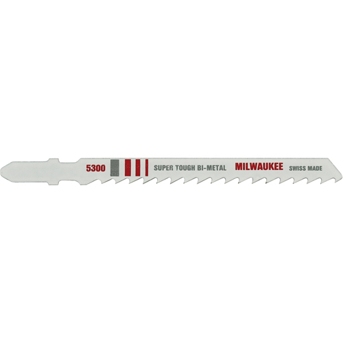 Lame de scie sauteuse, Bim&eacute;tal, Tige en T, 4" lo, 6 dents par pouce Mukwa Safety Services