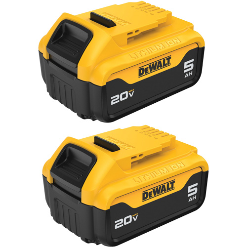 Bloc-piles Max XR Premium, Lithium-ion, 20 V, 5 A Mukwa Safety Services