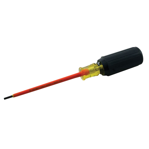 Slotted Screwdriver Mukwa Safety Services