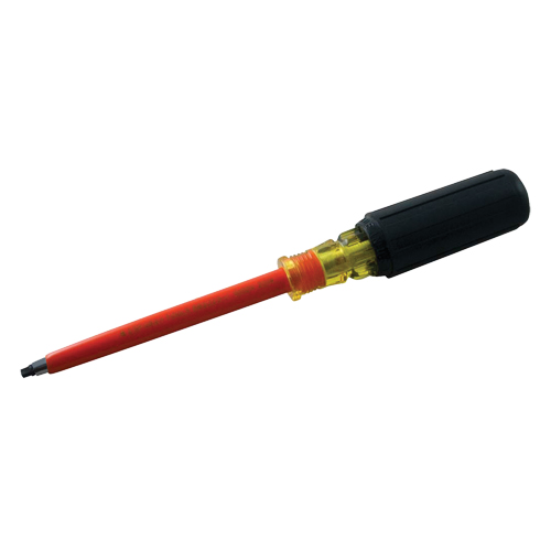 Square Screwdriver Mukwa Safety Services