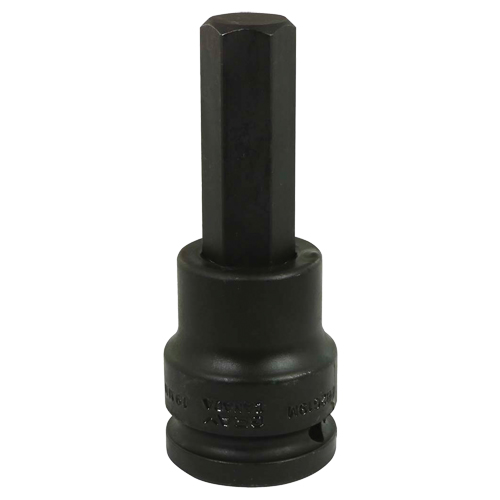 Impact Bit Socket, Hex, 19 mm x 3/4" Drive Mukwa Safety Services