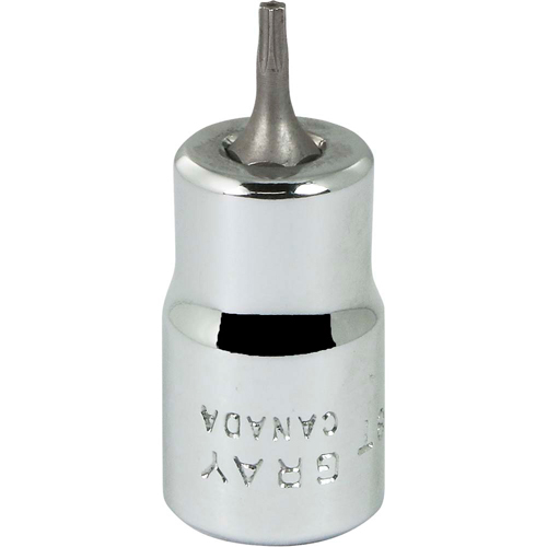 Bit Socket, Torx&reg;, T8 x 2-1/8" L, 3/8" Drive Mukwa Safety Services