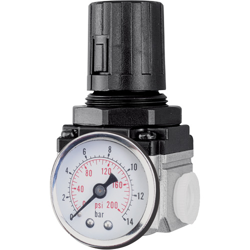 R&eacute;gulateur de d&eacute;bit d'air (manom&egrave;tre compris), 1/2" NPT, PSI max. de 220 PSI, Modulaire Mukwa Safety Services