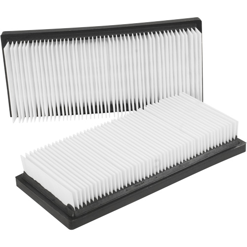 Filtres plats principaux, Cartouche, Pour 12 gal. US Mukwa Safety Services