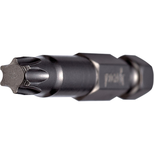 Embout pour outil &eacute;lectrique, Torx, Embout T-10, Prise 1/4", Longueur 2" Mukwa Safety Services