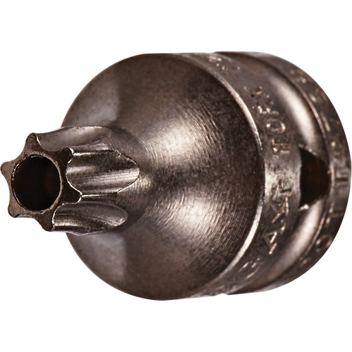 Socket Bit, Torx&reg; Tamper, 8 x 3/4" L, 1/4" Drive Mukwa Safety Services