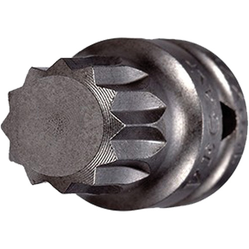 Socket Bit, Triple Square, 5 x 3/4" L, 1/4" Drive Mukwa Safety Services