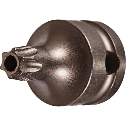 Socket Bit, Torx&reg; Tamper, 25 x 1" L, 3/8" Drive Mukwa Safety Services