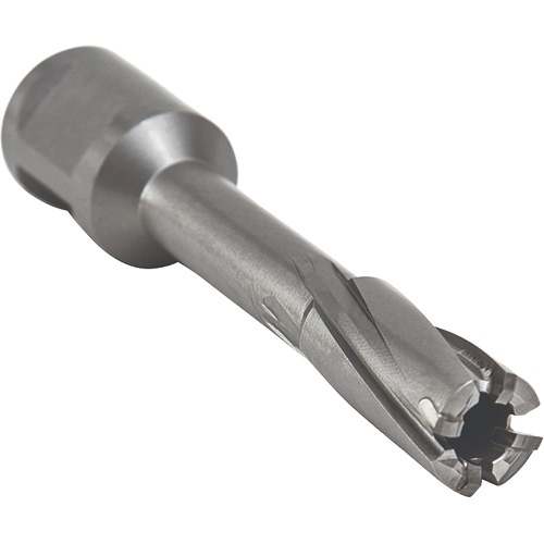 Outil de coupe annulaire avec mandrin soud&eacute;, Diam&egrave;tre de 12 mm, Carbure, Profondeur de la coupe de 55 mm, Tige 3/4" Mukwa Safety Services