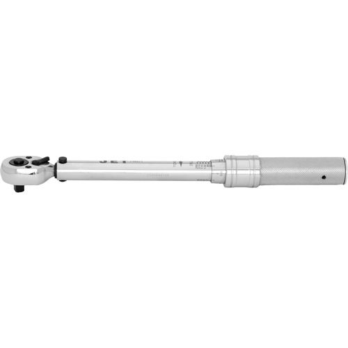 JITW-14250 Cl&eacute;s dynamom&eacute;triques industrielles, &agrave; cliquer, Entraînement 1/4" carr&eacute;, 50 - 250 lb-po Mukwa Safety Services