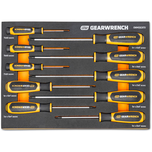 Jeu de tournevis bimat&eacute;riau Torx dans un plateau de rangement en mousse, 10 mcx Mukwa Safety Services