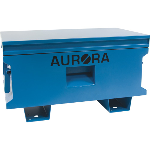 Coffre &agrave; outils de chantier, 33" x 20-3/10" x 18-3/10", Acier, Bleu Mukwa Safety Services