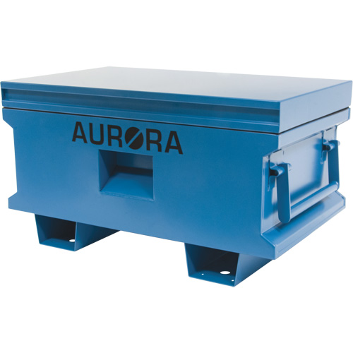 Coffre &agrave; outils de chantier, 33" x 20-3/10" x 18-3/10", Acier, Bleu Mukwa Safety Services