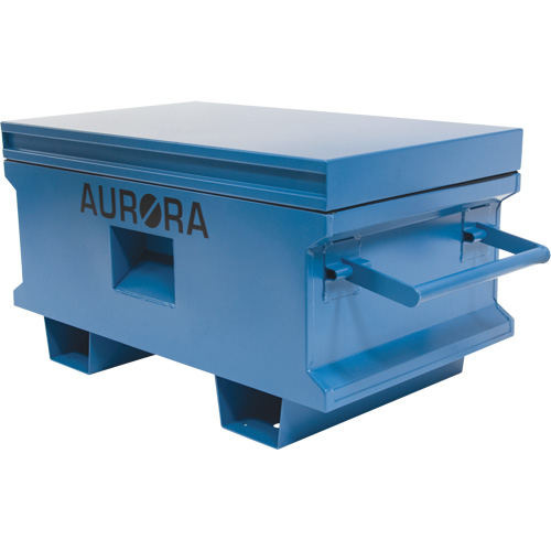 Coffre &agrave; outils de chantier, 33" x 20-3/10" x 18-3/10", Acier, Bleu Mukwa Safety Services