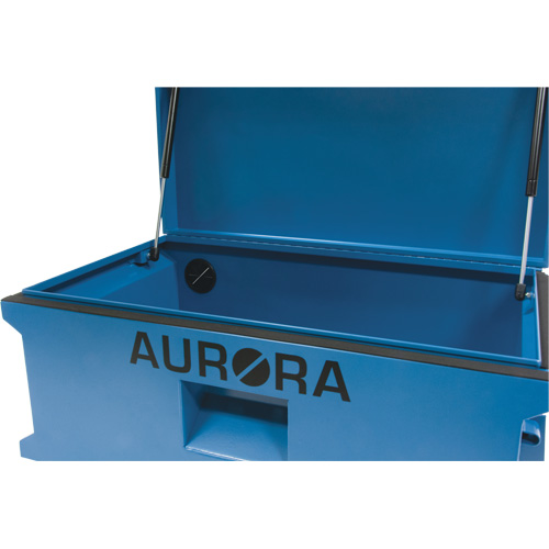 Coffre &agrave; outils de chantier, 33" x 20-3/10" x 18-3/10", Acier, Bleu Mukwa Safety Services
