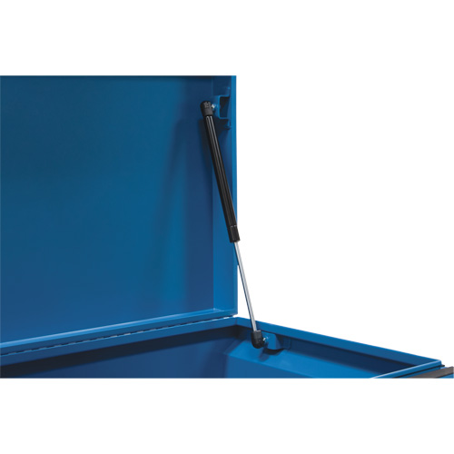 Coffre &agrave; outils de chantier, 33" x 20-3/10" x 18-3/10", Acier, Bleu Mukwa Safety Services