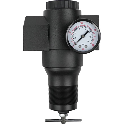 R&eacute;gulateur en aluminium, 1-1/2" NPT, PSI max. de 300 psi, Canalisation Mukwa Safety Services