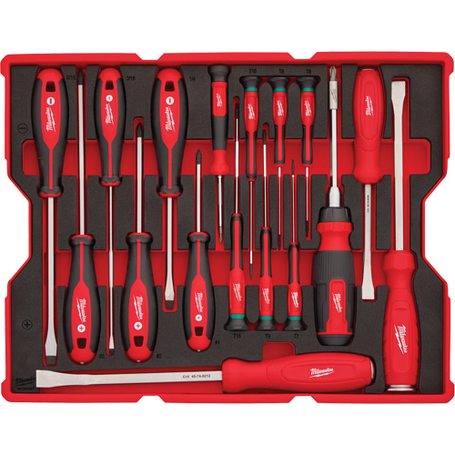 Screwdriver & Pry Bar Set with Tray for PACKOUT Drawers, 17, Magnetic Mukwa Safety Services