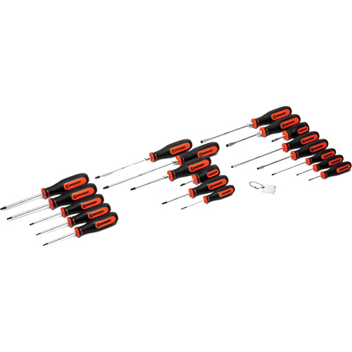 Dual Material Screwdriver Set, 20 Pcs. Mukwa Safety Services