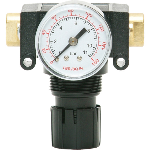 D&eacute;tendeur &agrave; piston en ac&eacute;tal MODULAIR 200, 1/4" NPT, PSI max. de 150 psi, Canalisation/Modulaire Mukwa Safety Services