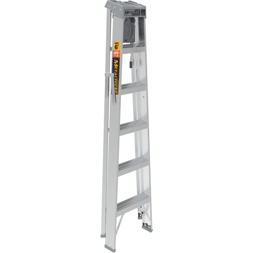 Escabeau avec plateau &agrave; peinture, 6', Aluminium, Capacit&eacute; 225 lb, Type 2 Mukwa Safety Services